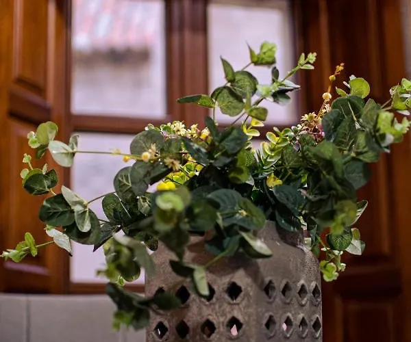 Apartamento Edificio S-xviii 1e Apartamento *